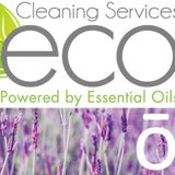 Eco Cleaning Service Detailed Professional