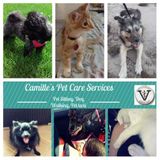 Pet sitter/ Licensed vet assistant