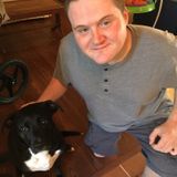 Professional Pet Sitter