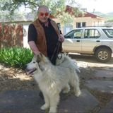 First Class, Full Time Alpha Pet Sitter in your precious Home