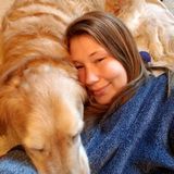 Pet Sitter/ Dog walker