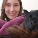 Looking for a loving and dedicated pet sitter for my bearded dragons and cat whenever I'm on vacation. Also needs to water pl
