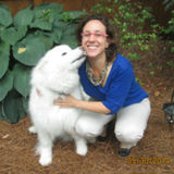 Trustworthy, Experienced, and Reliable House/Petsitter