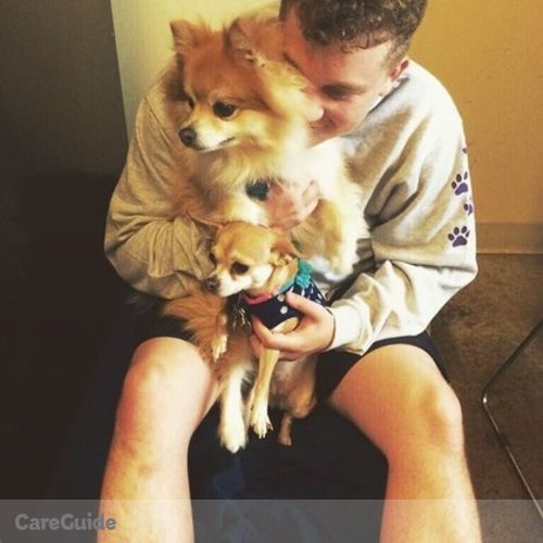 Pet Care Provider Leonardo C's Profile Picture