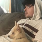 A person who loves to play and care for animals. Offering hourly sitting and walks.