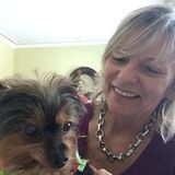 Pet sitter, walks