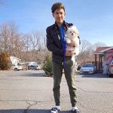 Searching for a Petsitter Opportunity in Nanuet