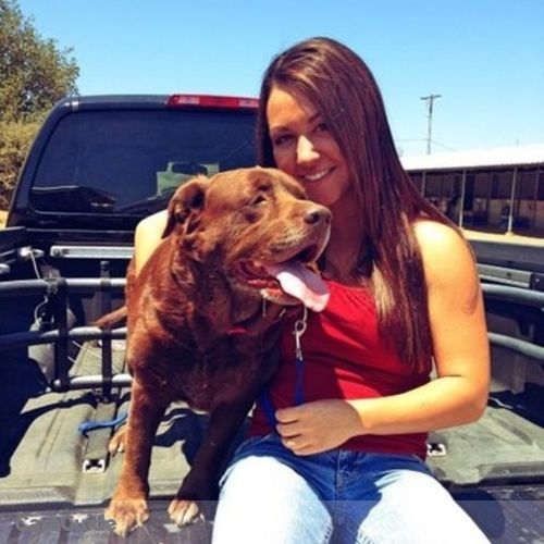 Pet Care Provider Lisa C's Profile Picture