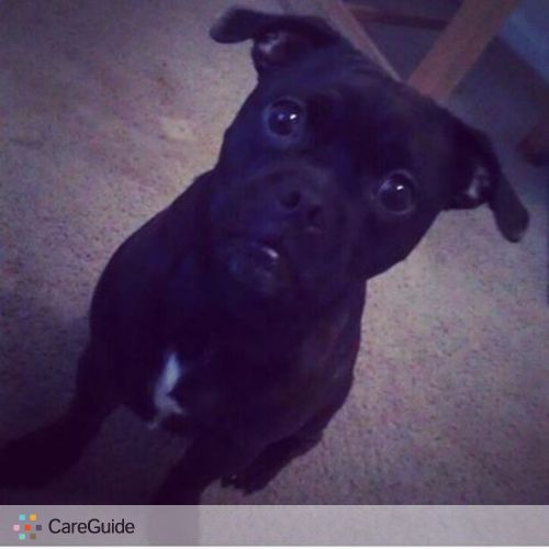 Pet Care Provider Micqualyn F's Profile Picture