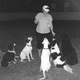 Simply Pets, Sitting & More