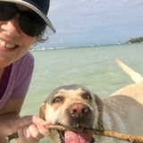 5 star rated Home & Pet Sitter in Mount Dora/Sorrento/Lake County area. (15+ Day Sits Preferred)