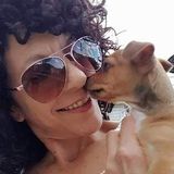 For Hire: Professional Pet Sitter & Dog Walker in Sidney, Ohio.