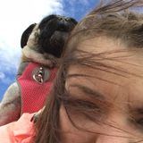 Great Dog Walker/pet sitter in Saskatoon