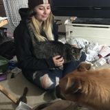 Loving your pet while you're away