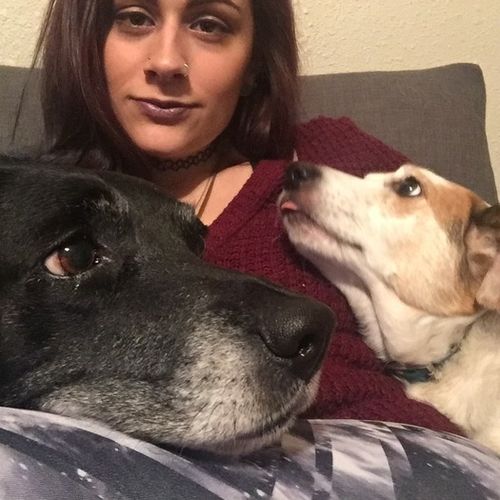 Pet Care Job Lucia Mazzone's Profile Picture