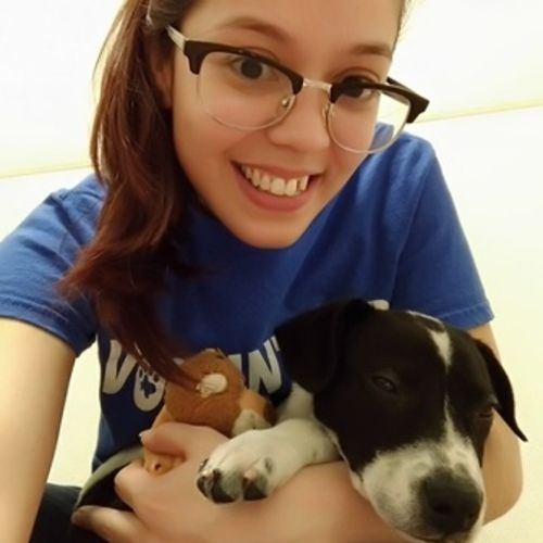 Pet Care Provider Tamirys N's Profile Picture
