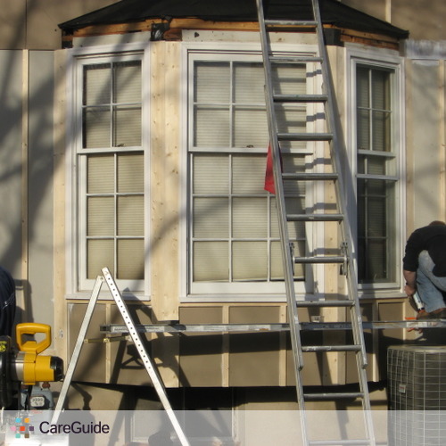 Painter Provider David P's Profile Picture