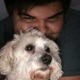 IM a pet lover ready to care.
