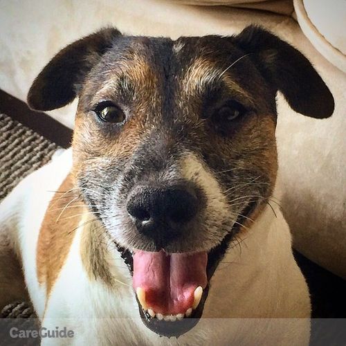 Pet Care Job Adriana A's Profile Picture