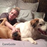 Reliable and playful dog lover at your service!