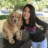 An animal advocate who can easily deal with pets.