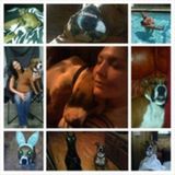 Loving and Highly Qualified/Experienced Dog Sitter...and MORE!