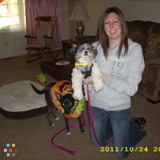 Pet Sitter
