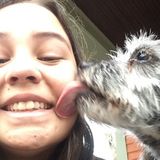Canandaigua Pet Sitter Looking For Work