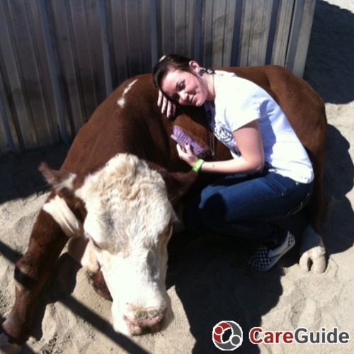 Pet Care Provider Carly M's Profile Picture