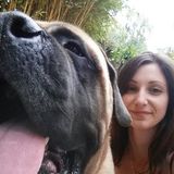 Licensed veterinary technician offering dog walking, medication administration, drop-in and overnight care.