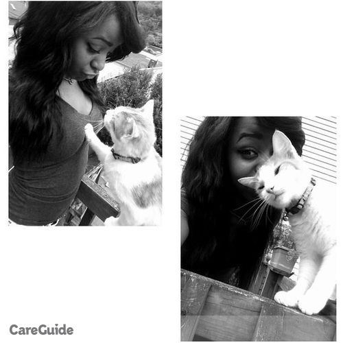 Pet Care Provider Doniela L's Profile Picture