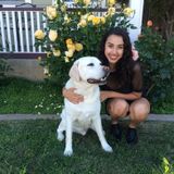 Available: Pet Sitter/Walker in Santa Clara, California