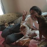 Reliable, Trustworthy, Active, & Involved Dog walker/sitter. Work around Animals.