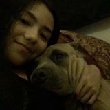 Very Experienced With Dogs Mainly But Good With Most Pets