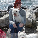 Providing PAWSitive Pet Care Services