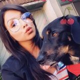 Loving Pet Care Provider for Your Home
