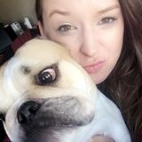 Searching for Maple Park Dog Sitter, Illinois Jobs
