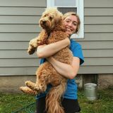 Pet Care Provider With Experience