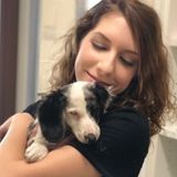 Pet Care Specialist looking for extra pet sitting work! Has professional experience!