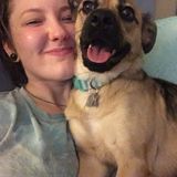 Available For an Animal Caregiver Opportunity in Bowling Green