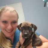 I have always had a love of animals. I was just recently a veterinary technician for the past 5 years.