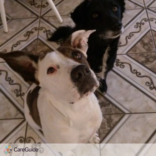 Pet Care Provider Yazmine R's Profile Picture
