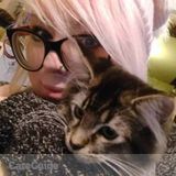 Animal Lover and Caretaker, willing to house & petsit for you!