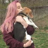 Interviewing For a Pet Care Provider Opportunity in Williamsport
