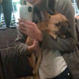 Burlington, North Carolina Pet Sitter