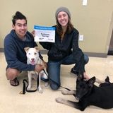 Patient and Loving Animal Caregiver
