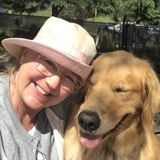 Perfectionist House/Pet Sitting