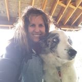 Dog Gone it Pet Sitting