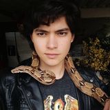 Talented Petsitter in East Los Angeles, California