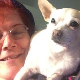 Pet Lover in Gardena Ca seeks sitting walking job in South Bay or LA / long Beach area